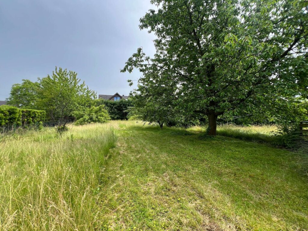 Baugrundstück in begehrter Wohnlage Baumberg – Entwicklungspotenzial auf ca. 658 m² bis zu 3 EFH